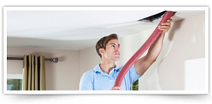 professional duct cleaners